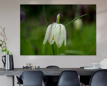 The wild lapwing flower by Goffe Jensma