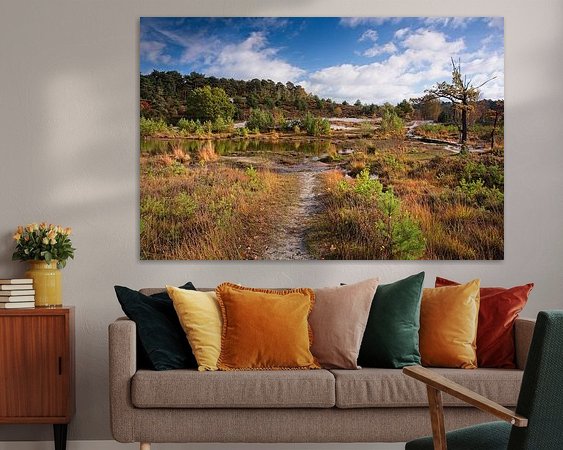 Aperçu de la chambre