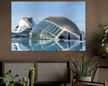 Stad van de kunst en wetenschappen - Valencia van Iseline Visser