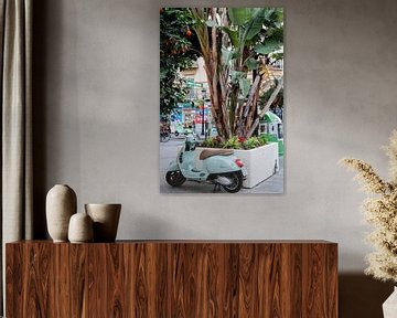 Blauwe vespa scooter met de bananenplant en sinaasappelboom! van Iseline Visser