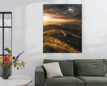 Paysage : une harmonie dorée