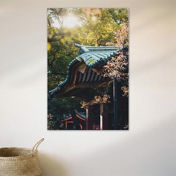 Japans tempelcomplex