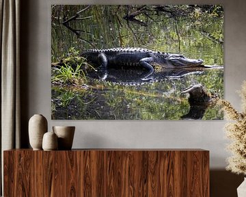 Aligator van Wouter Doornbos
