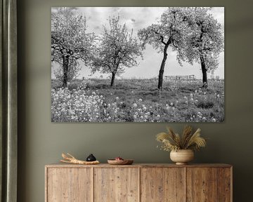 Bloesem in de bomen, bloemen in het gras. Mooi op bijvoorbeeld naadloos behang of als artFrame van Josine Claasen