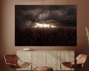 Gloomy landscape of a withered cornfield at sunset by Besa Art