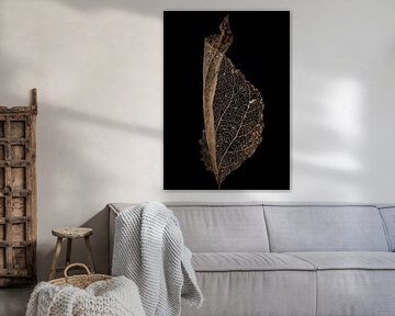 Skeleton Leaf by Karin Bakker Fotografie