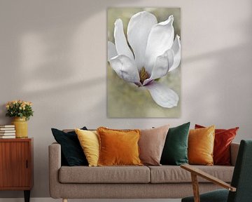 Magnolia. Puur. Romantische droomwereld. van Alie Ekkelenkamp