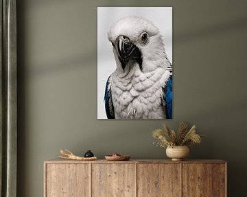 Witte Vogel met Blauwe Accenten Illustratie van De Muurdecoratie