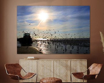 meeuwen op strand by kim van Bockhove