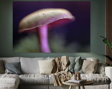 Purple paddenstoel III van Nienke Castelijns