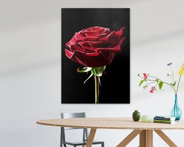 rode roos van Eric van den Berg