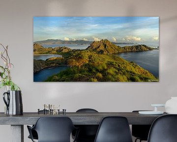 Insel Padar von Ton van den Boogaard