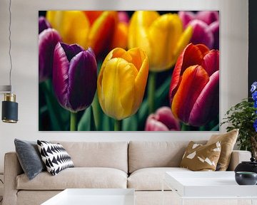 Innover au printemps avec des tulipes colorées sur De Muurdecoratie