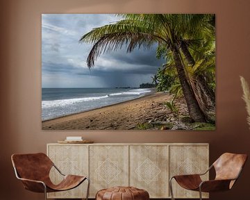tropischer Strand mit drohendem Gewitter von Anneke Reiss