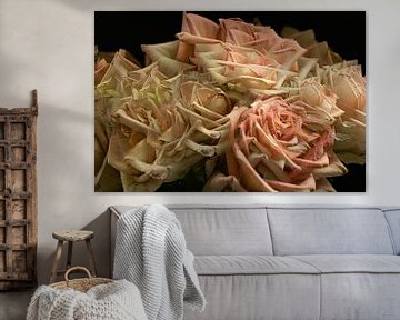 Roses in multiple shot by Huub de Bresser