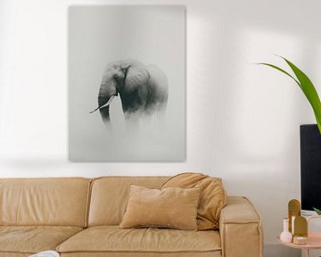 Misty Majesty - Elephant in Monochrome by Eva Lee