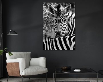 zebra van Eric van den Berg