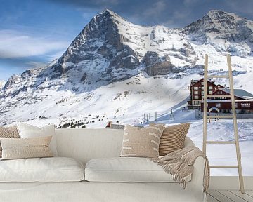 Uitzicht op de noordwand van de Eiger en de Mönch vanaf Kleine Scheidegg van t.ART