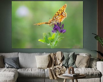 Parelmoer vlinder zittend op wat paars (on)kruid. van rik janse