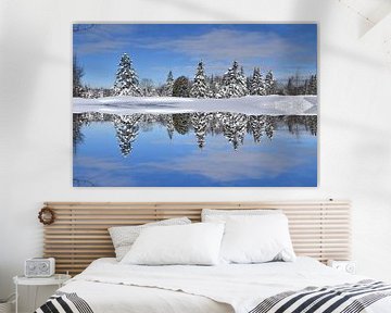 First snow on the forest by Claude Laprise