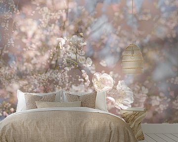 Cherry blossom. For example as wallpaper, artFrame or canvas by Josine Claasen