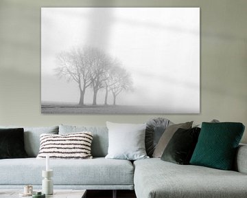 De vier bomen in Bingelrade - minimalisme - zwartiwit van Ilspirantefotografie