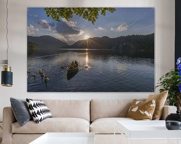 Höckerschwäne und Ruderboot bei Sonnenuntergang, Alpsee, bei Füssen, Allgäu von Walter G. Allgöwer