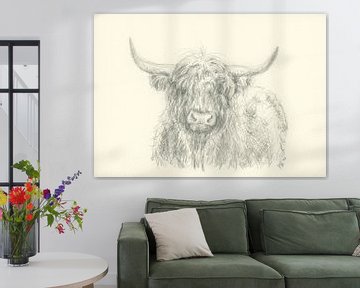 Highland cattle portrait pencil drawing by Karen Kaspar
