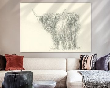 Highland cattle looking backwards Pencil drawing by Karen Kaspar