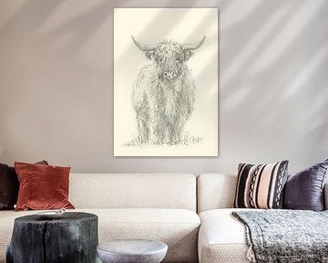 Standing highland cattle pencil drawing by Karen Kaspar