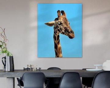 Giraffe in de USA van Karel Frielink