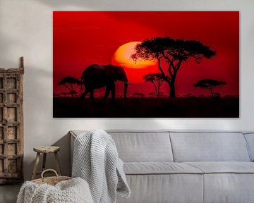 Eléphant solitaire en Afrique panorama coucher de soleil rouge sur TheXclusive Art