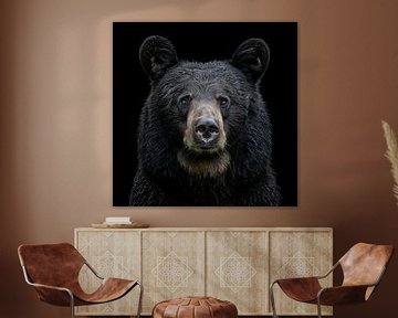 Portrait black bear by TheXclusive Art