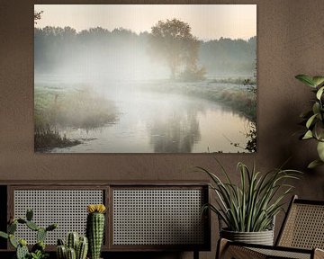 misty canal with a tree and fog by KB Design & Photography (Karen Brouwer)