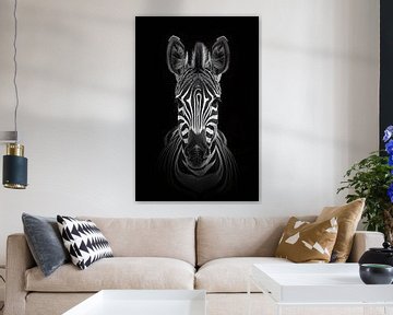 Zebra in contrast by Skyfall