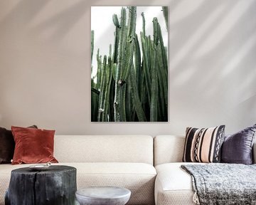 Cactus van Melanie Schat-van der Werf