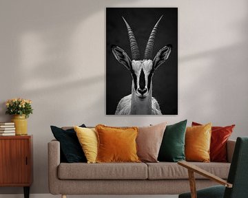 Graceful oryx antelope by Skyfall