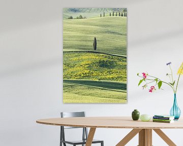 Landschaft bei Sonnenaufgang um Pienza, Val d'Orcia, Toskana von Walter G. Allgöwer