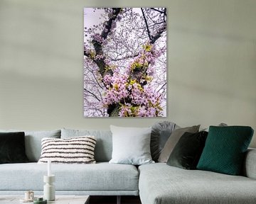 arbre en fleurs sur Martijn Tilroe