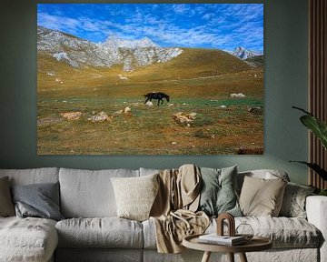 Paard in de Picos de Europa van Jos van den berg