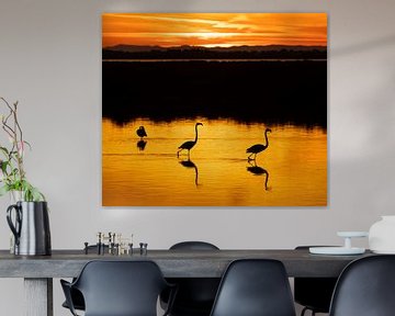 Flamingo's mit untergehender Sonne von Mirella Zwanenburg