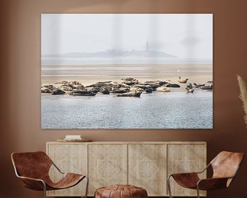 Texel seals with the lighthouse in the background by Mirella Zwanenburg