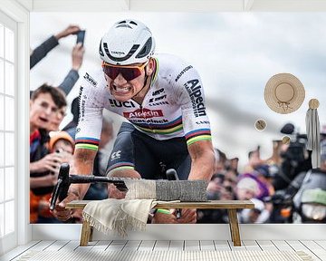 Mathieu van der Poel wins Paris Roubaix by Leon van Bon