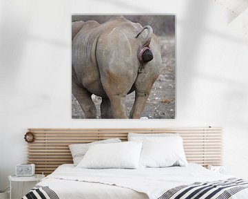 Shitting rhino left by Niek Traas