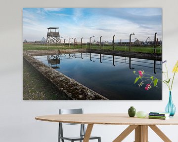 Reflecties in Auschwitz van Werner Lerooy