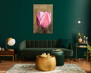 Wood-look tulip. by Alie Ekkelenkamp