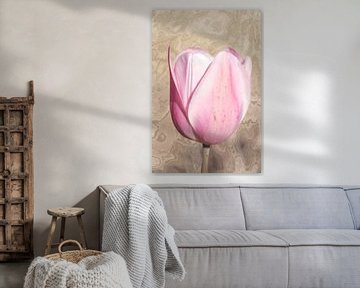 Tulip. Pink with wood look. by Alie Ekkelenkamp