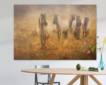 herd of konik horses by eric van der eijk