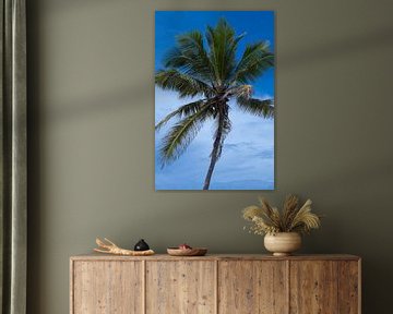 Palmier sur la plage de Jambiani sur Lisette van Leeuwen