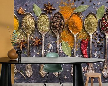 Gewürze der Weltküche auf Kupferlöffeln